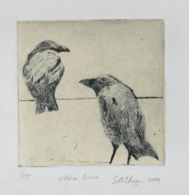 Victoria Crows Victoria Crows
