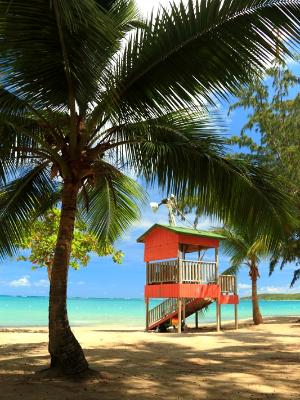 Tropical Lifeguard Hut Tropical Lifeguard Hut
