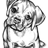 Puggle