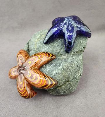 #861 #10022306 starfish on rock 6''Hx8''W $250 #861 #10022306 starfish on rock 6''Hx8''W $250