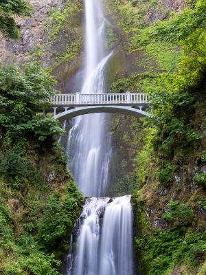 Multnomah Falls Panorama (click for full height) Multnomah Falls Panorama (click for full height)