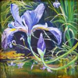 Wild Iris