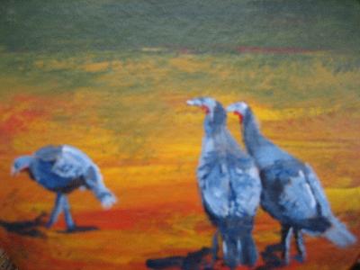 Wild Turkeys Wild Turkeys