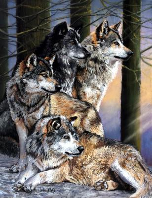The Pack - SOLD The Pack - SOLD
