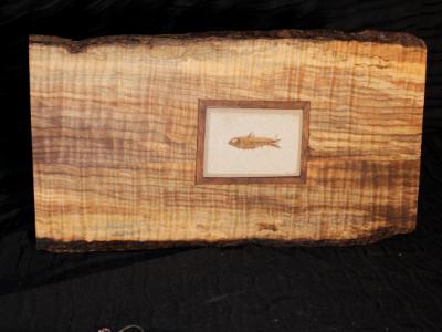 Turquoise Inlay/Fossilized Knightia Alta Curio Box Turquoise Inlay/Fossilized Knightia Alta Curio Box