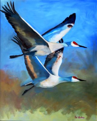 Sandhills in Flight - oil - 24x30