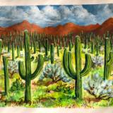 Arizona Saguaro Cactuses