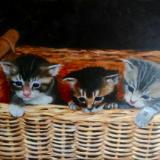 Basket babies 16x20 canvas in oils