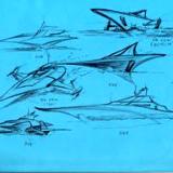 "ships concept 2"