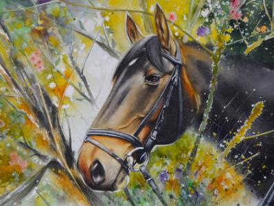 The beauty of the Cleveland Bay Horse, 38cm x 56cm, 2019 The beauty of the Cleveland Bay Horse, 38cm x 56cm, 2019
