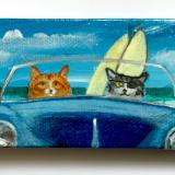 SURF CATS ON PATROL 