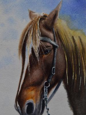 The horse of the Roman empire, 20cm x 30cm, 2020 The horse of the Roman empire, 20cm x 30cm, 2020
