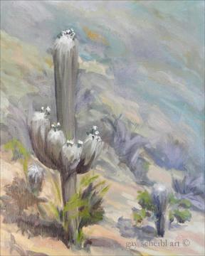 Sabino Saguaro