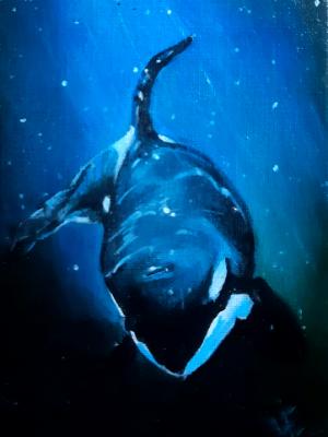 Killer Whale
