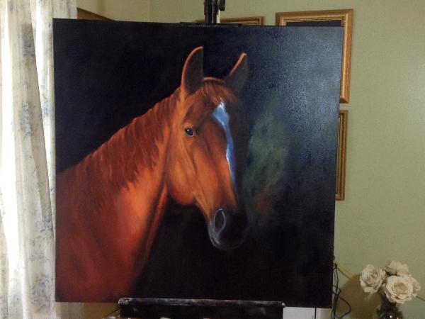 Horses head 3/4 36x36 canvas in oil
