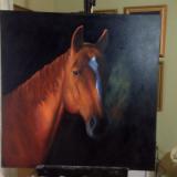 Horses head 3/4 36x36 canvas in oil