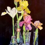 Nanna’s Irises