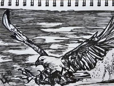 Eagle Eagle
