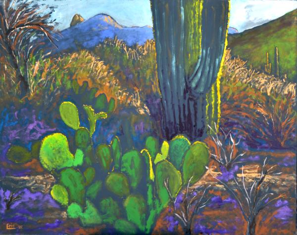 Sunrise: West of Tucson