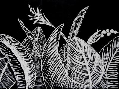 Cannas Cannas
