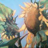 Darlene's Sunflowers II