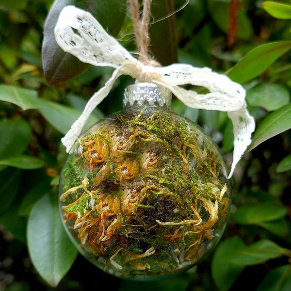 Glass Nature Bauble