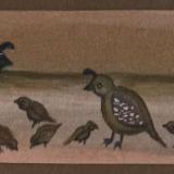 Quail Family - Brown