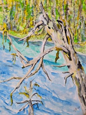 Overlooking Hayes Lake. A weary tree remembers it's youth . Overlooking Hayes Lake. A weary tree remembers it's youth .