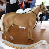 Bowral Live 2011