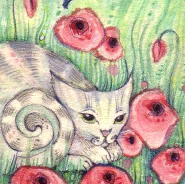 Little Cat with Poppies