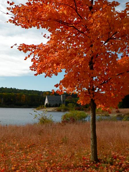 Autumn