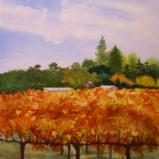 Autumn Vineyard II
