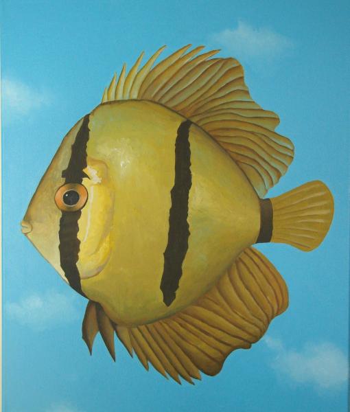 Pompadour Fish   20" x 24"