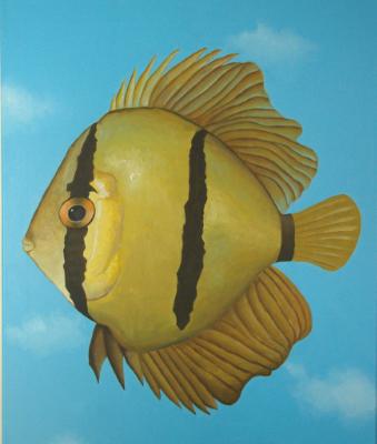 Pompadour Fish   20" x 24"