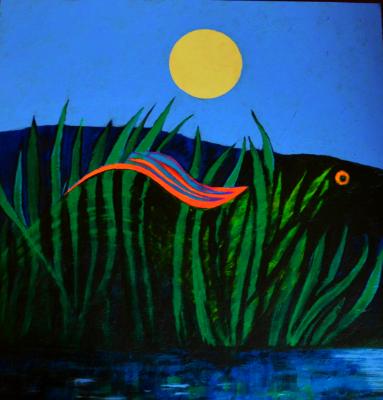 Night in the pond