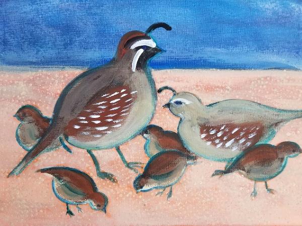 Desert Quail