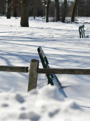 Snow Drift Benches