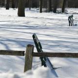 Snow Drift Benches