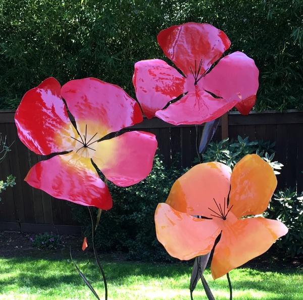 Giant Poppies