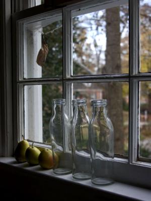 Pears, Bottles, Window