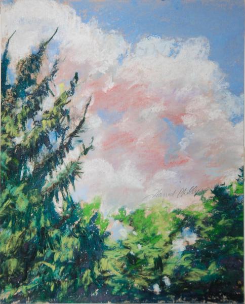 144/S25 Trees and Sky