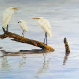 Sallie Lynn Davis, Artist Sallie Lynn Davis, Artist