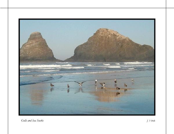 Gulls and Sea Stacks