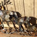 Elk