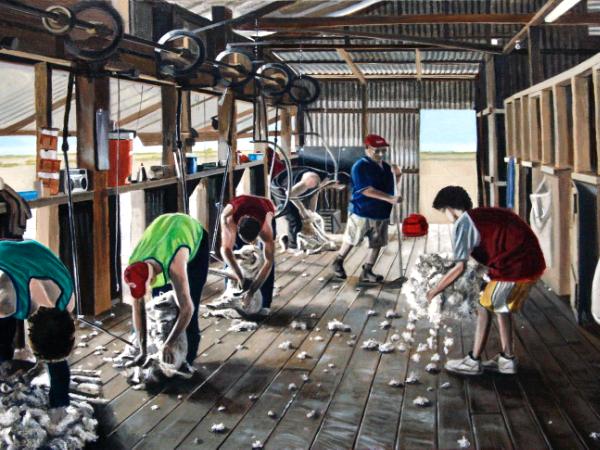 Shearing at Griffdale