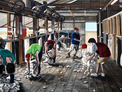Shearing at Griffdale