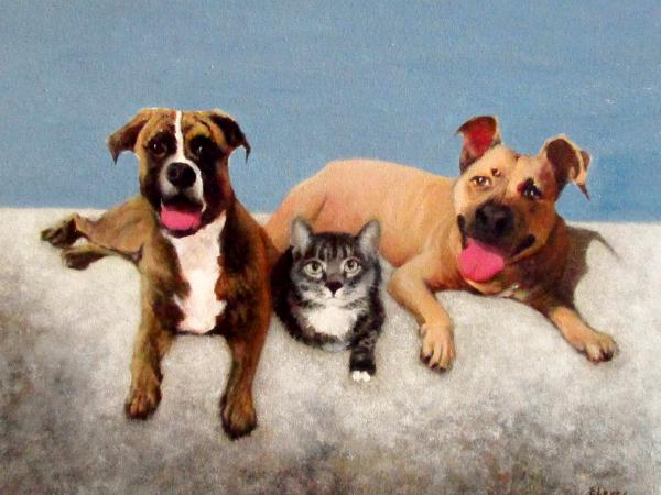 Aslan, Bella and Stella