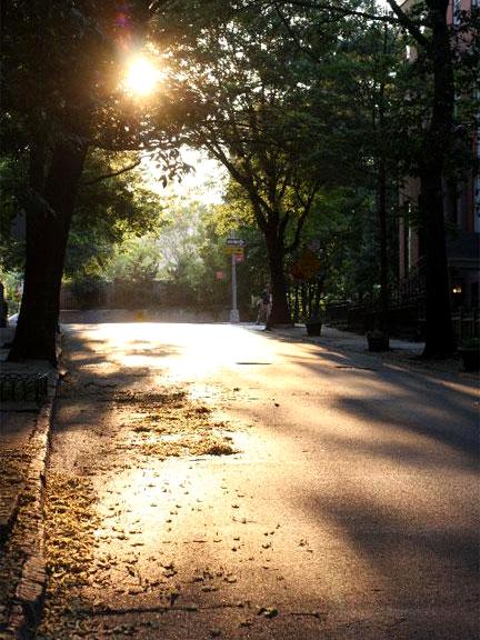 Summer Afternoon in Brooklyn