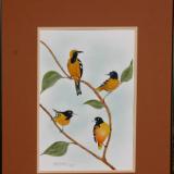 Goldfinches