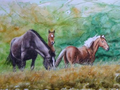 Equine family, 80cm x 60cm, 2014 Equine family, 80cm x 60cm, 2014